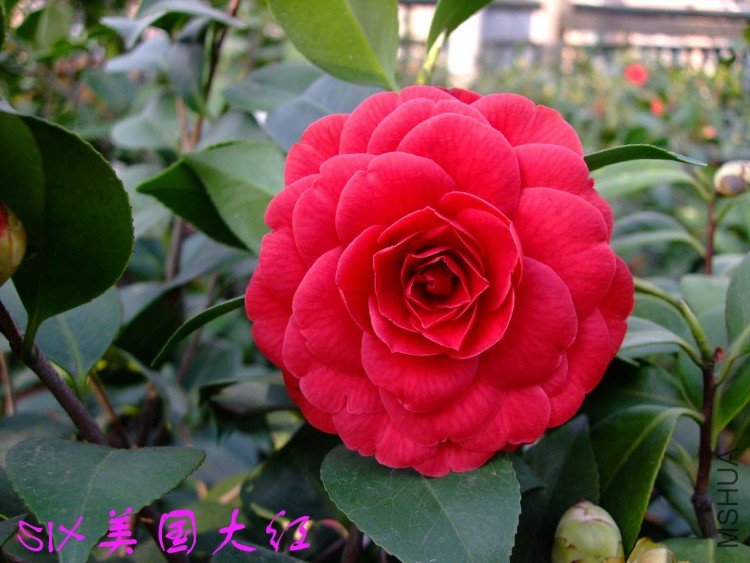 ���� 10-4-9(1).jpg