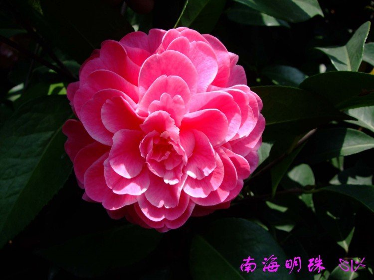 �Ϻ�����  10-4-9(1).jpg