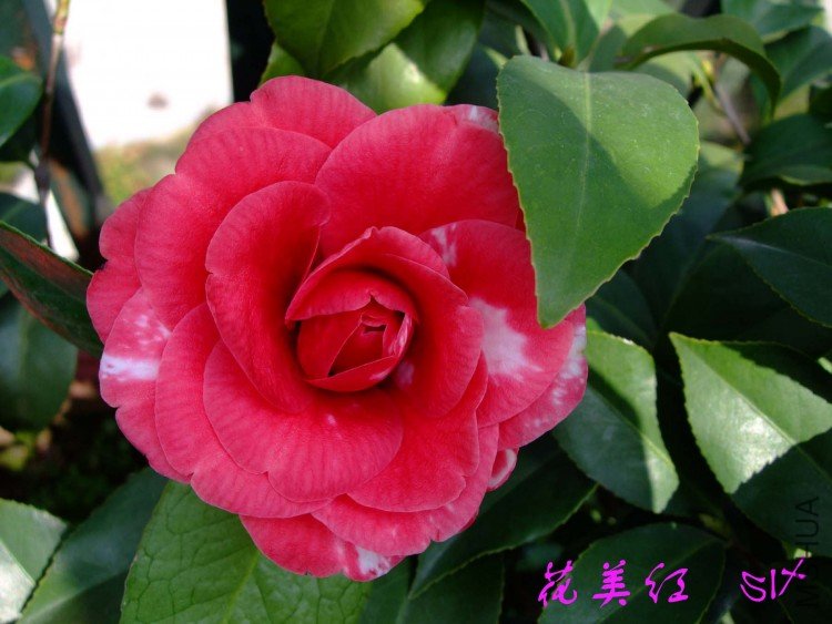 ���� 10-4-9 (2).jpg