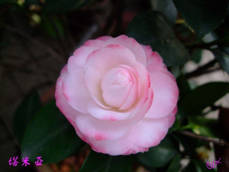 ������ 10-4-9(1).jpg