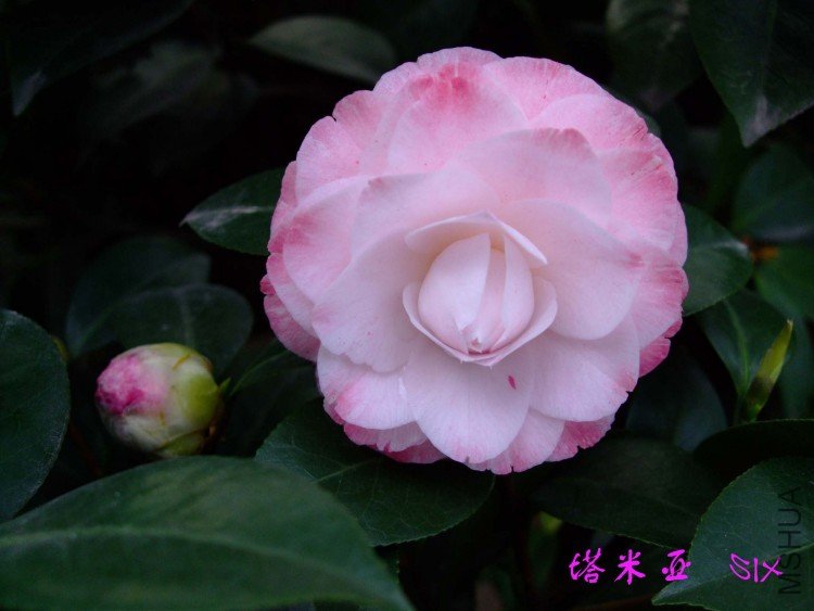 ������ 10-4-9 (3).jpg