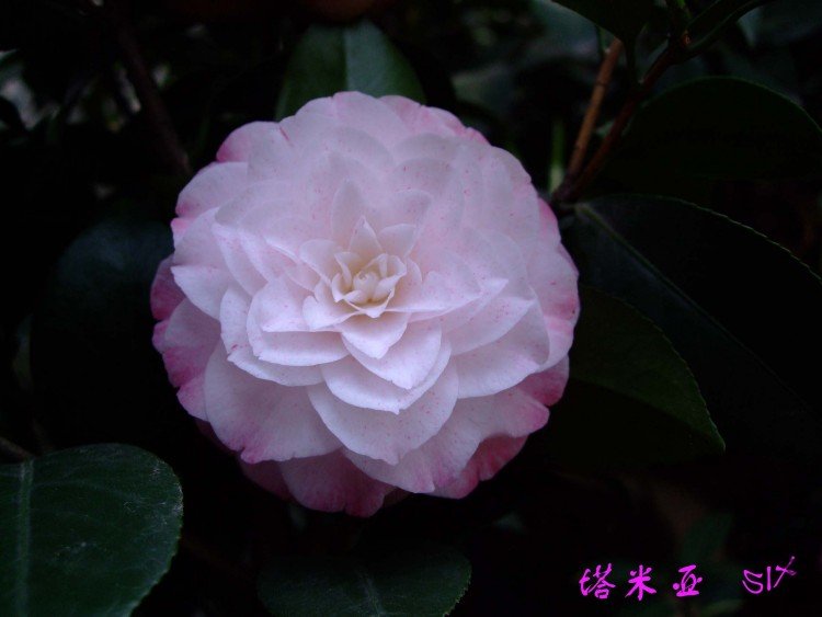 ������ 10-4-9 (4).jpg