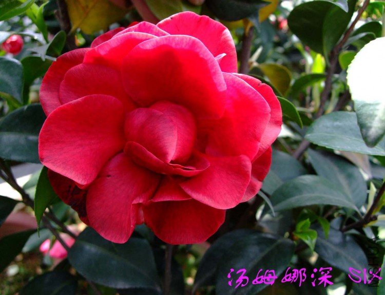 ��ķ���� 10-4-9(1).jpg