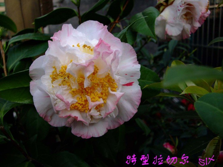 ���� 10-4-9(1).jpg