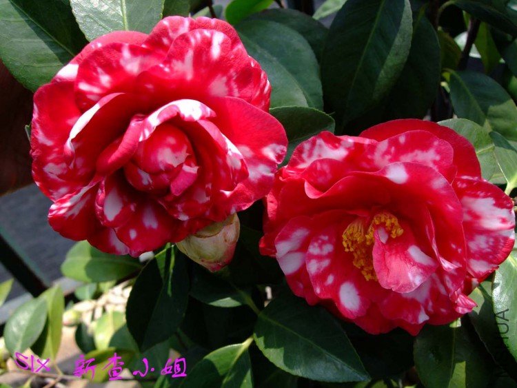 �²� 10-4-9(1).jpg