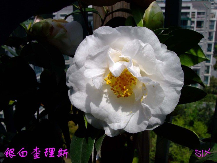 ����  10-4-9(1).jpg