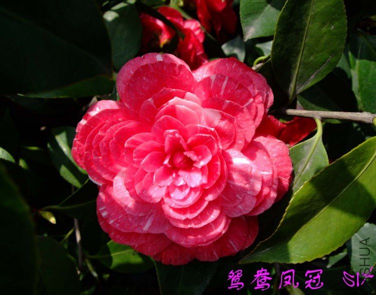 ԧ����  10-4-9(1).jpg