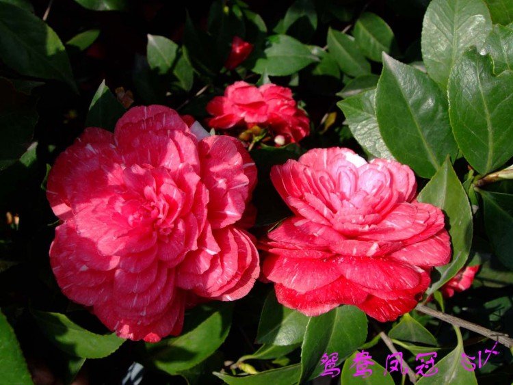 ԧ����  10-4-9 (2).jpg