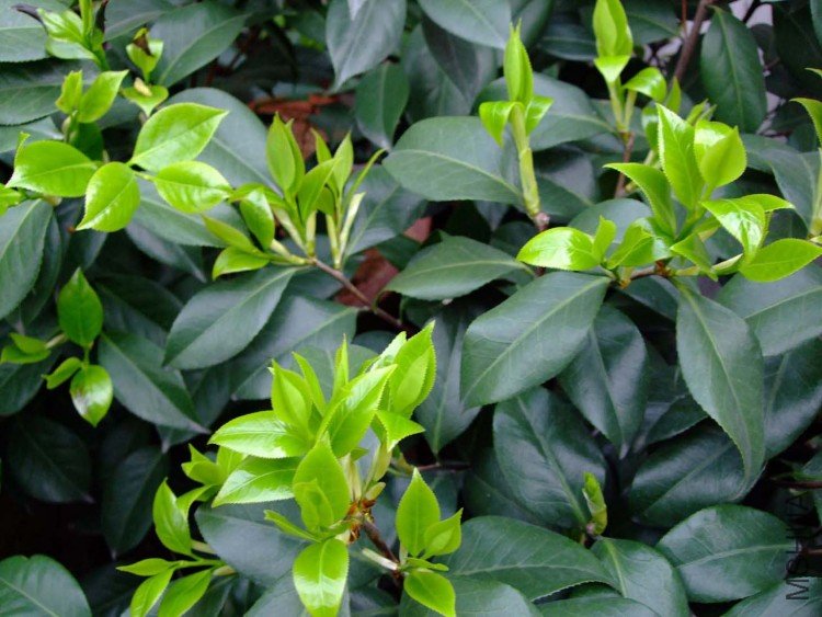 ���� 10-4-9 (4).jpg