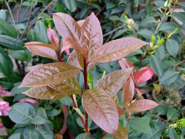 ���� 10-4-9(1).jpg