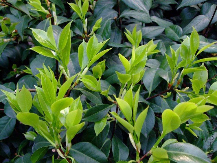 ���� 10-4-9 (8).jpg