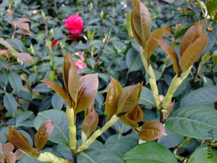 ���� 10-4-9 (10).jpg