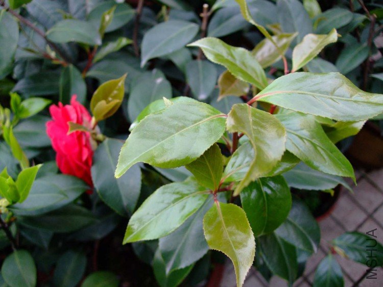 ���� 10-4-9 (6).jpg