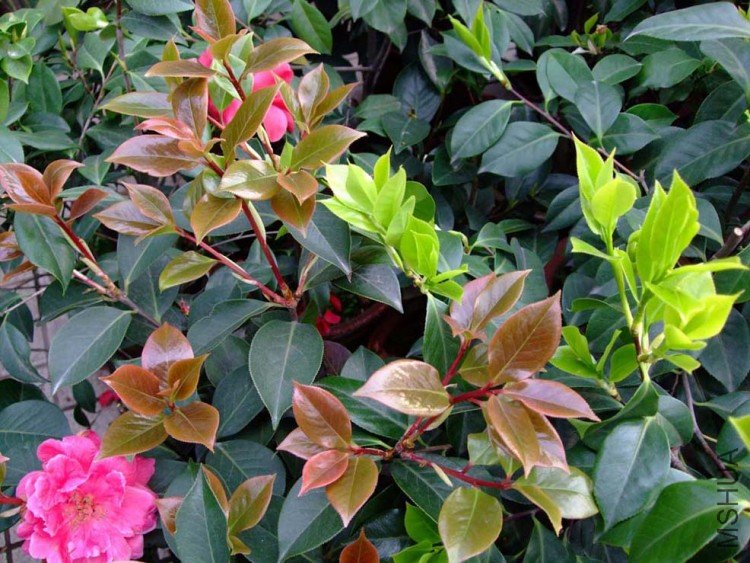 ���� 10-4-9 (7).jpg