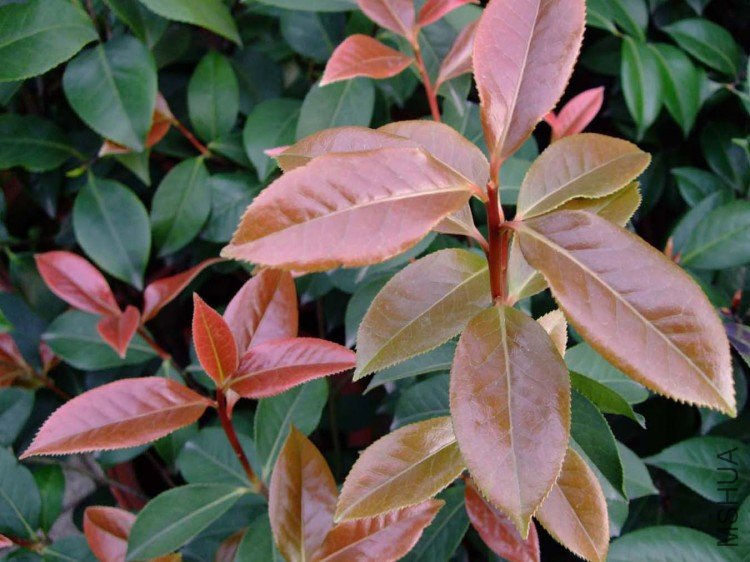 ���� 10-4-9 (9).jpg