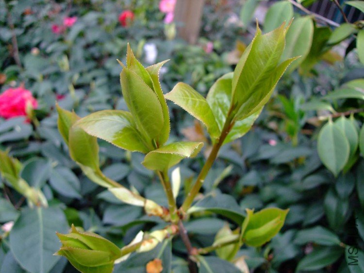 ���� 10-4-9 (3).jpg