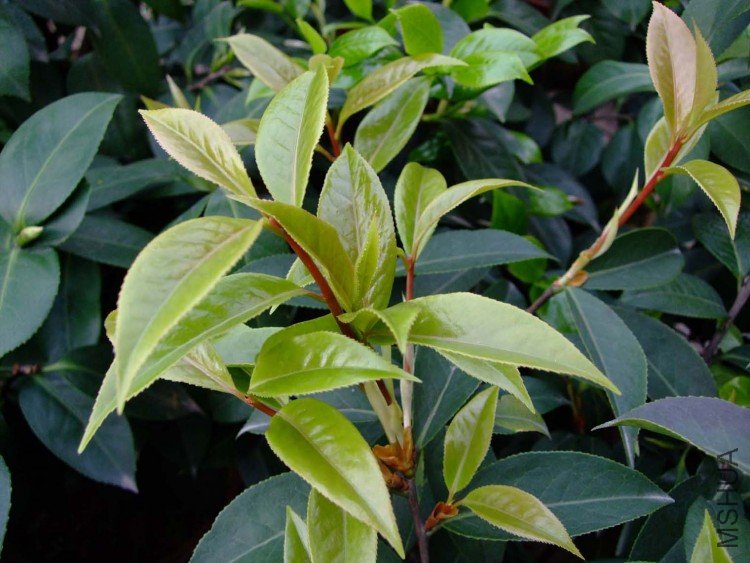 ���� 10-4-9 (5).jpg