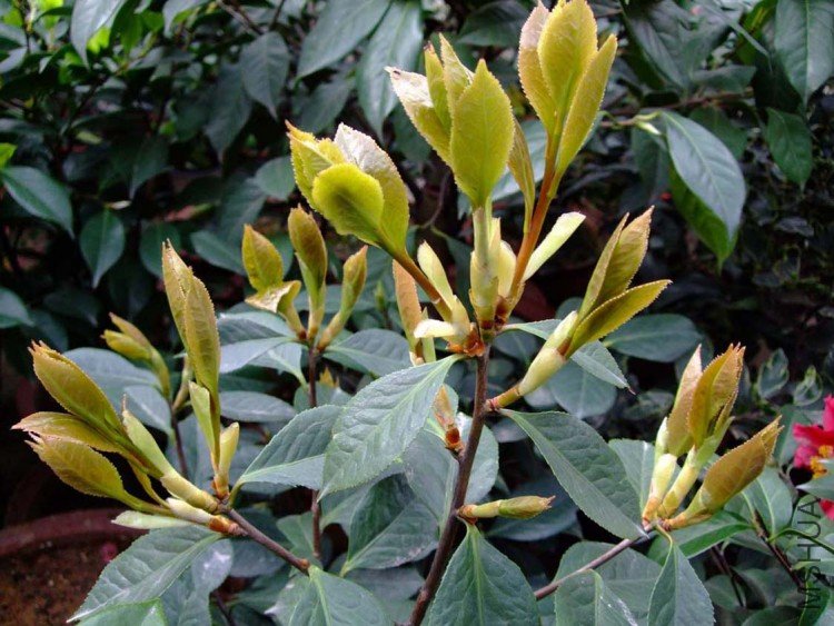 ���� 10-4-9 (2).jpg