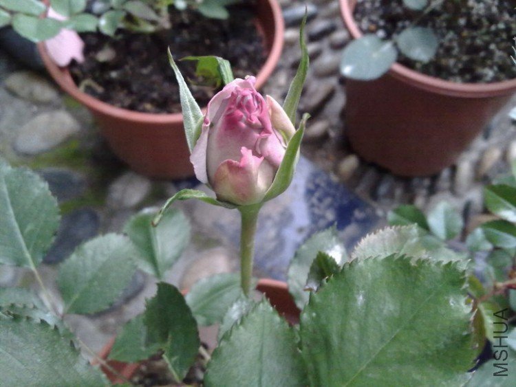 201004092367.jpg