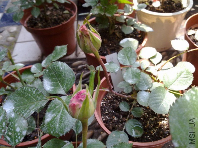 201004052333.jpg