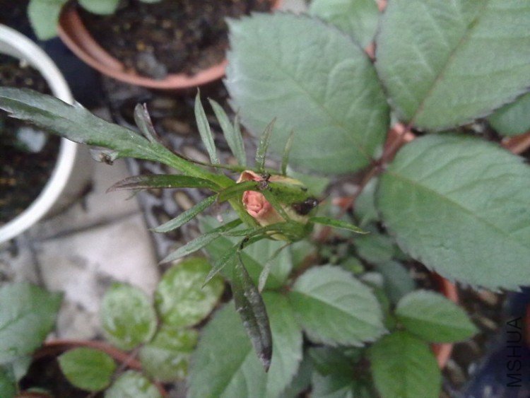 201004012261.jpg