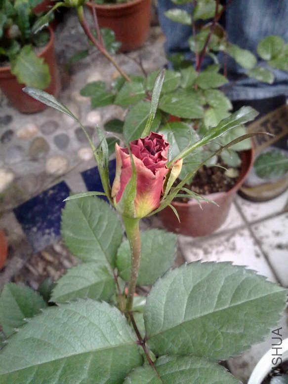 201004092368.jpg