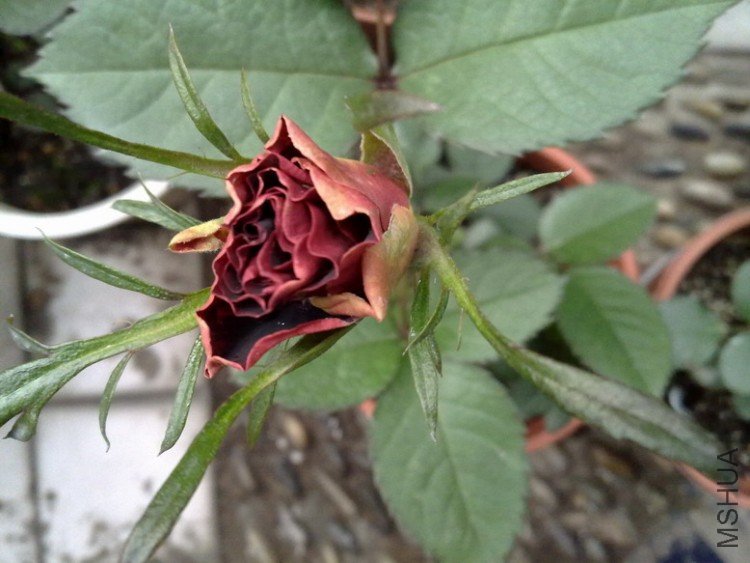 201004092361.jpg