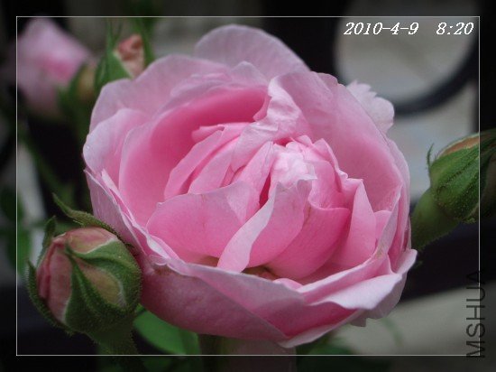 IMGP6997.JPG
