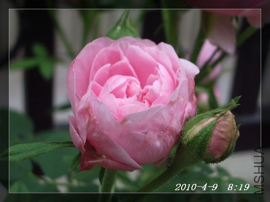 IMGP6993.JPG