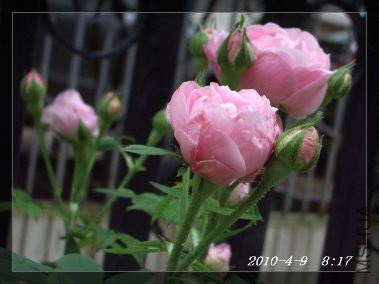IMGP6984.JPG