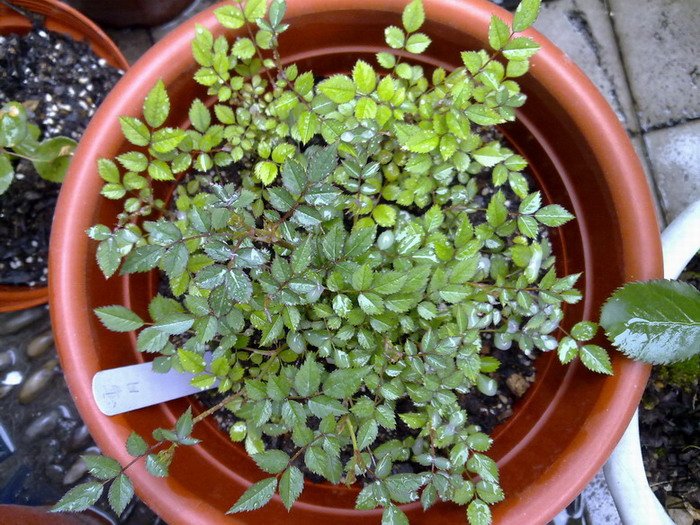 201004042321.jpg