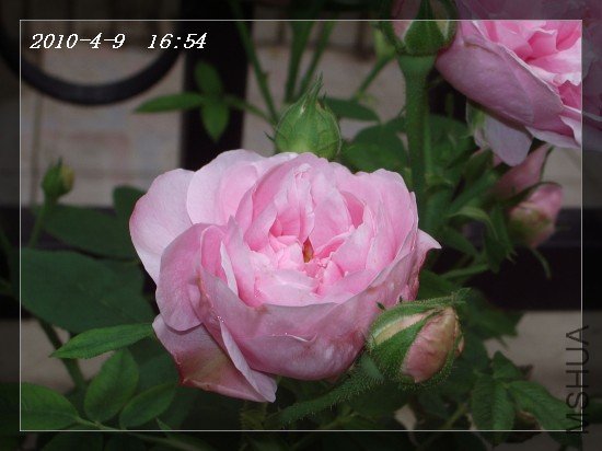 IMGP7041.JPG
