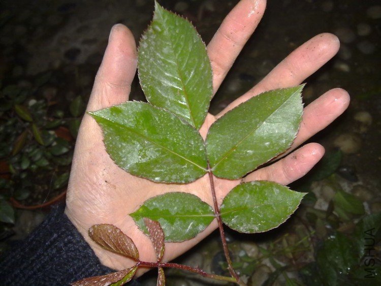 201003262137.jpg