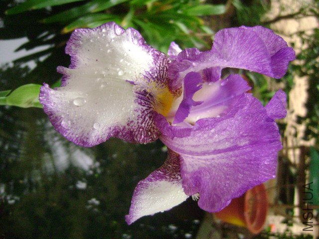 DSC09070.JPG