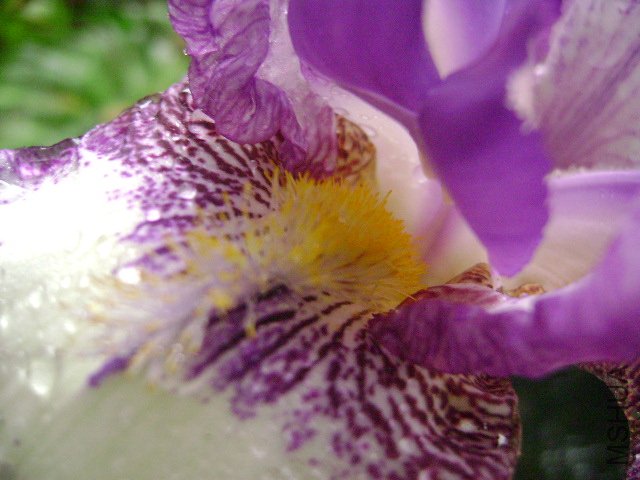 DSC09077.JPG
