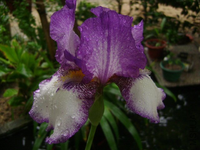 DSC09067.JPG