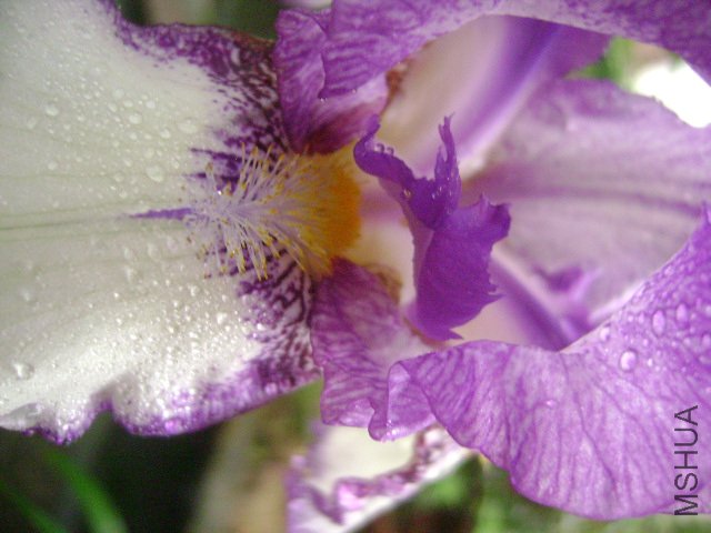 DSC09081.JPG