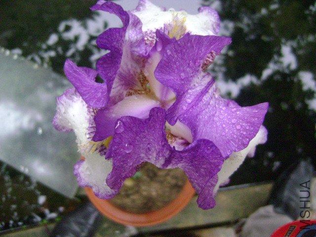 DSC09074.JPG