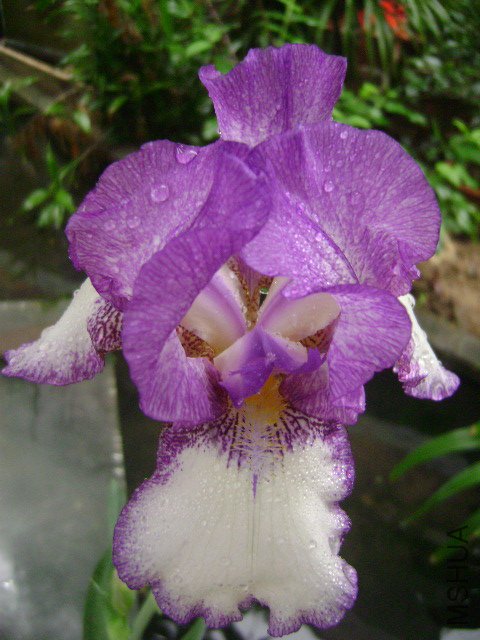 DSC09082.JPG