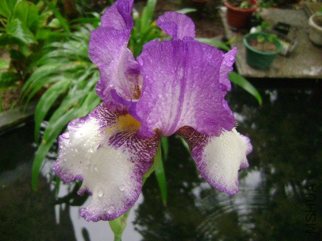 DSC09073.JPG