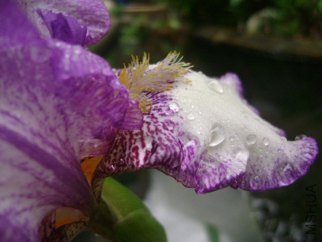DSC09087.JPG