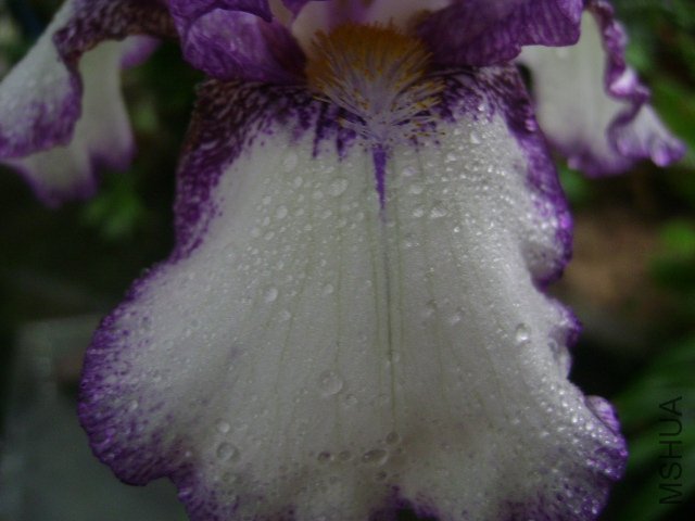 DSC09088.JPG