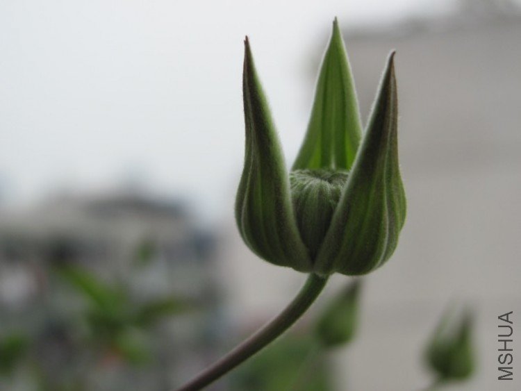 ը���Ļ���
