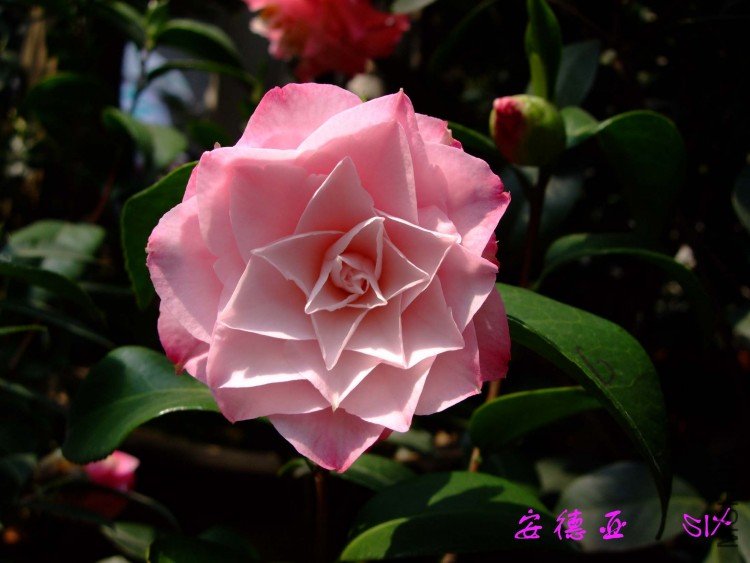 ������ 10-4-10 (2).jpg