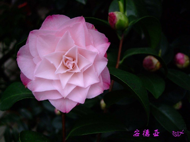 ������ 10-4-10 (3).jpg