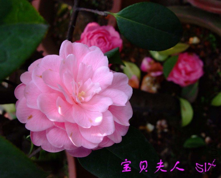 ��������  10-4-10 (2).jpg