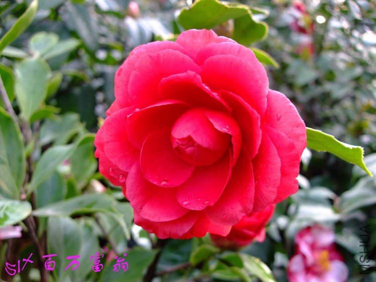 ������ 10-4-10 (1).jpg