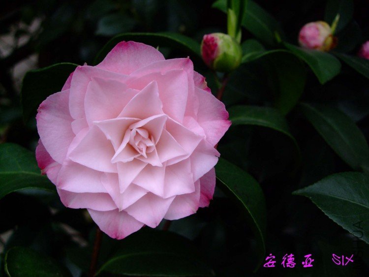 ������ 10-4-10 (4).jpg