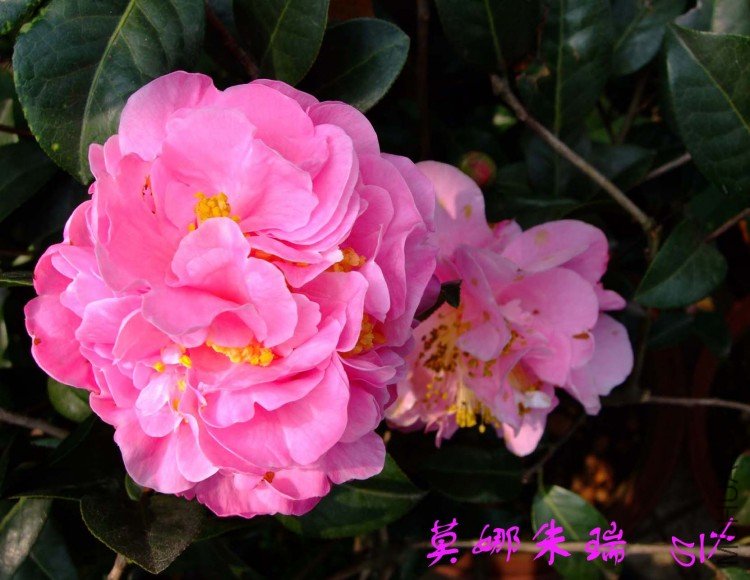 Ī������  10-4-10 (1).jpg