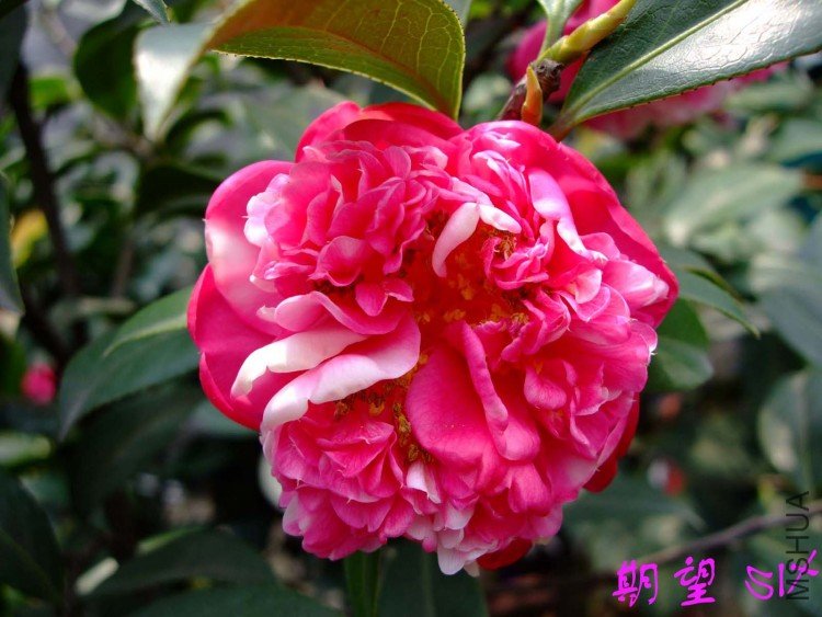 ����  10-4-10 (1).jpg